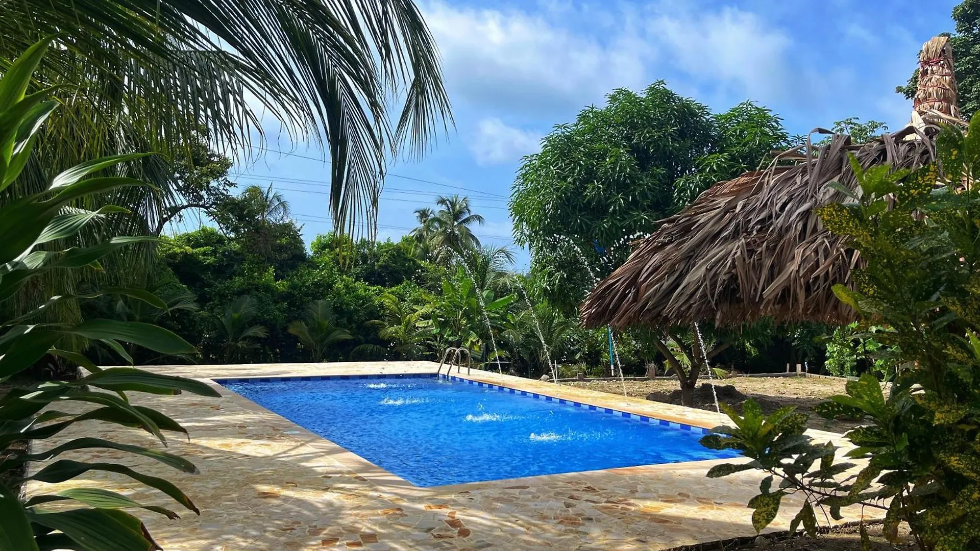 Lodge Tayrona Eco-Finca Zelandia Habitaciones Y Cabanas Santa Marta  Colombie